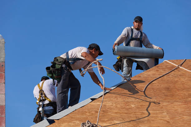 Best Roof Maintenance Services  in Arcade, GA